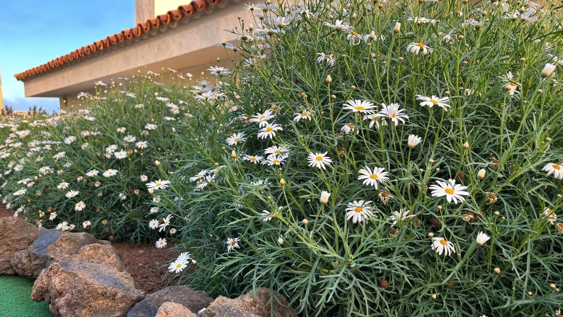 Holiday home Casa Rural Margarita, Relax, Vistas, Jardin Las Indias Spain